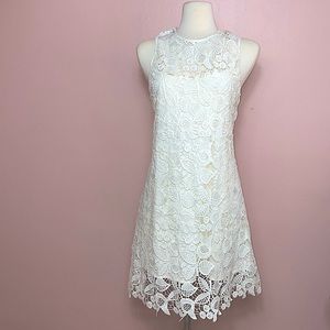 WAYF White Lace Mini Dress